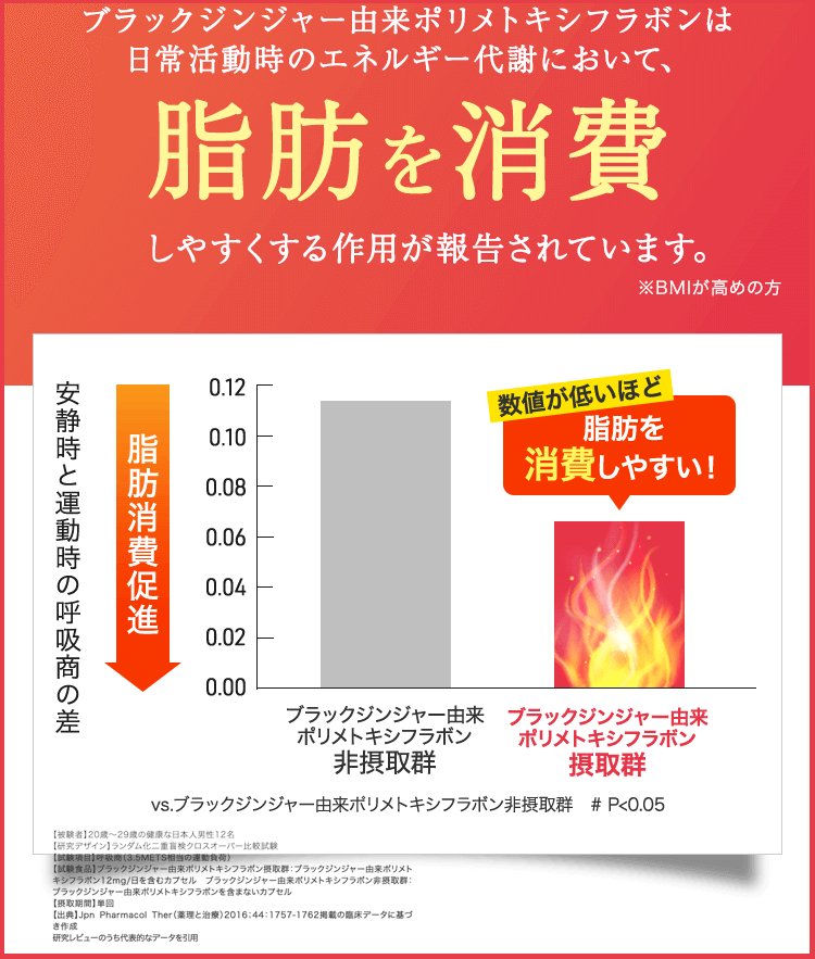 ブラックジンジャー